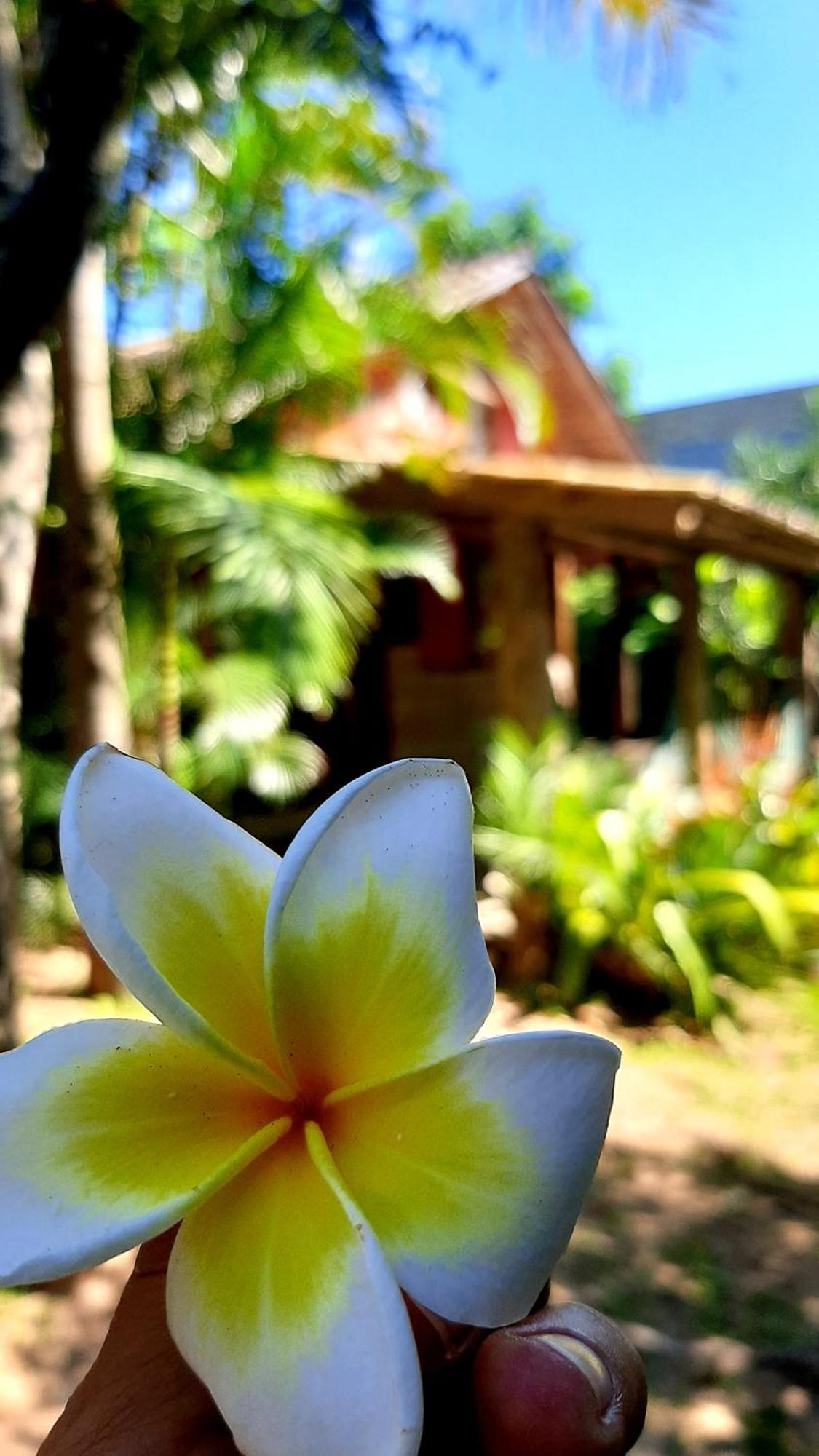 Praia Do Rosa Kaora Cabanas 部屋 写真