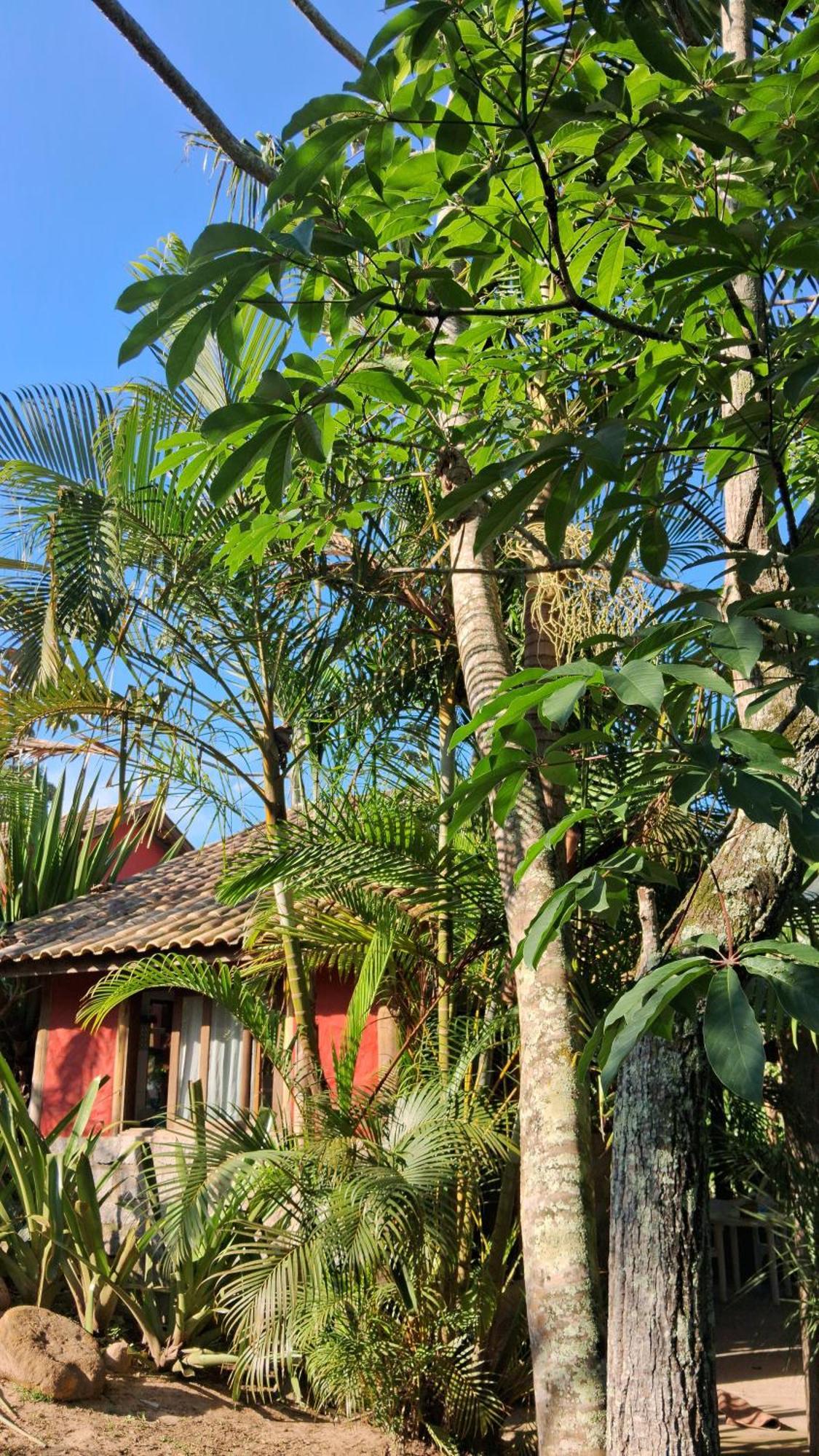 Praia Do Rosa Kaora Cabanas 部屋 写真